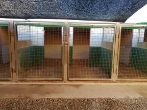 IMG-20181010-WA0006