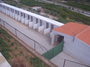 IMGP3285 
