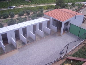 IMGP3286 